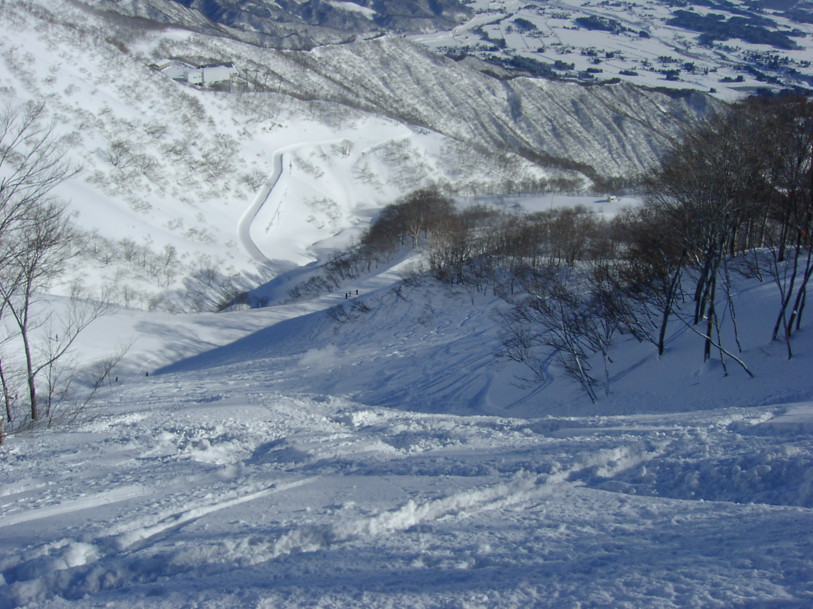 今シーズン初のいただきます