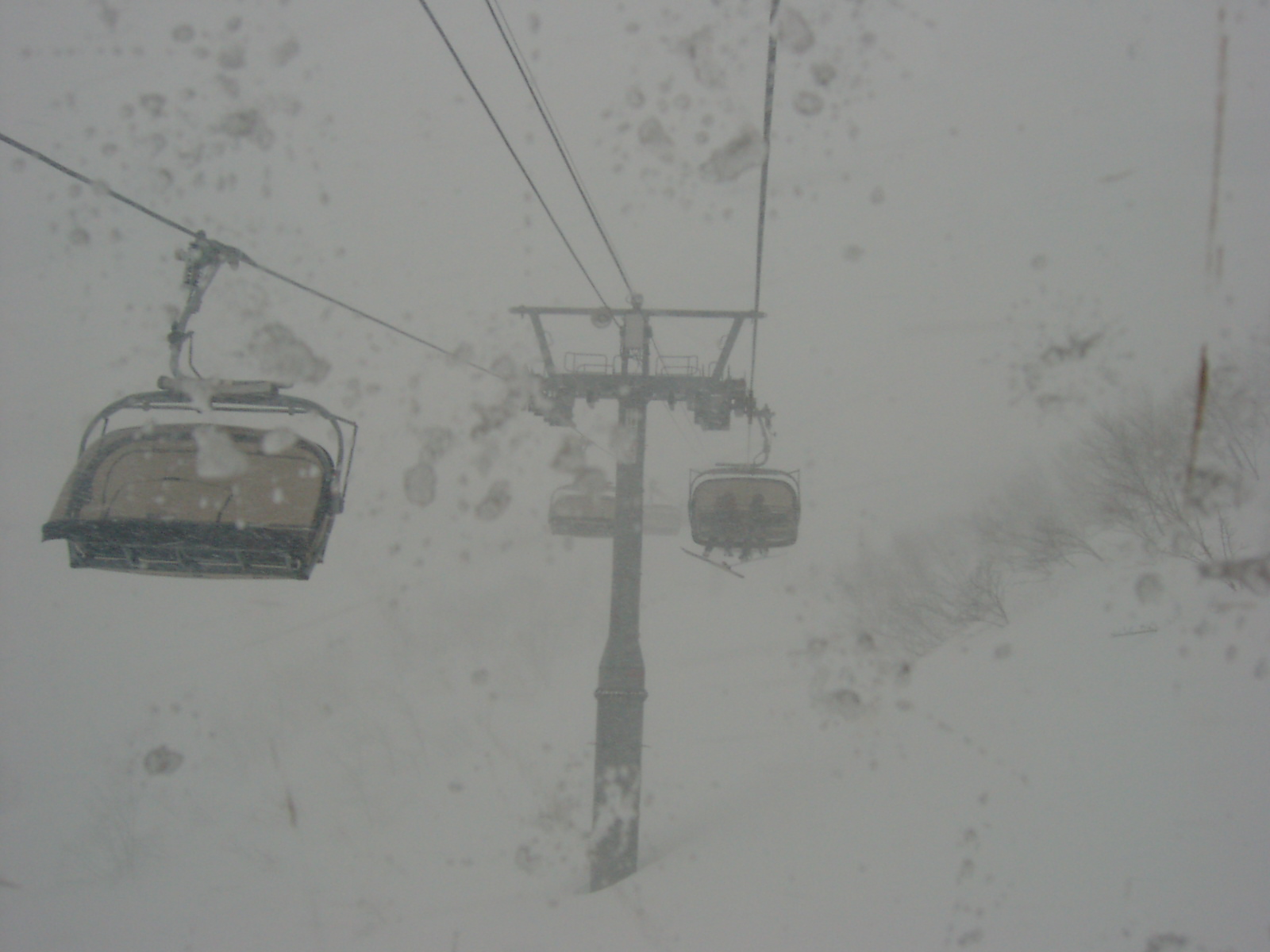 こんな状態では・・・