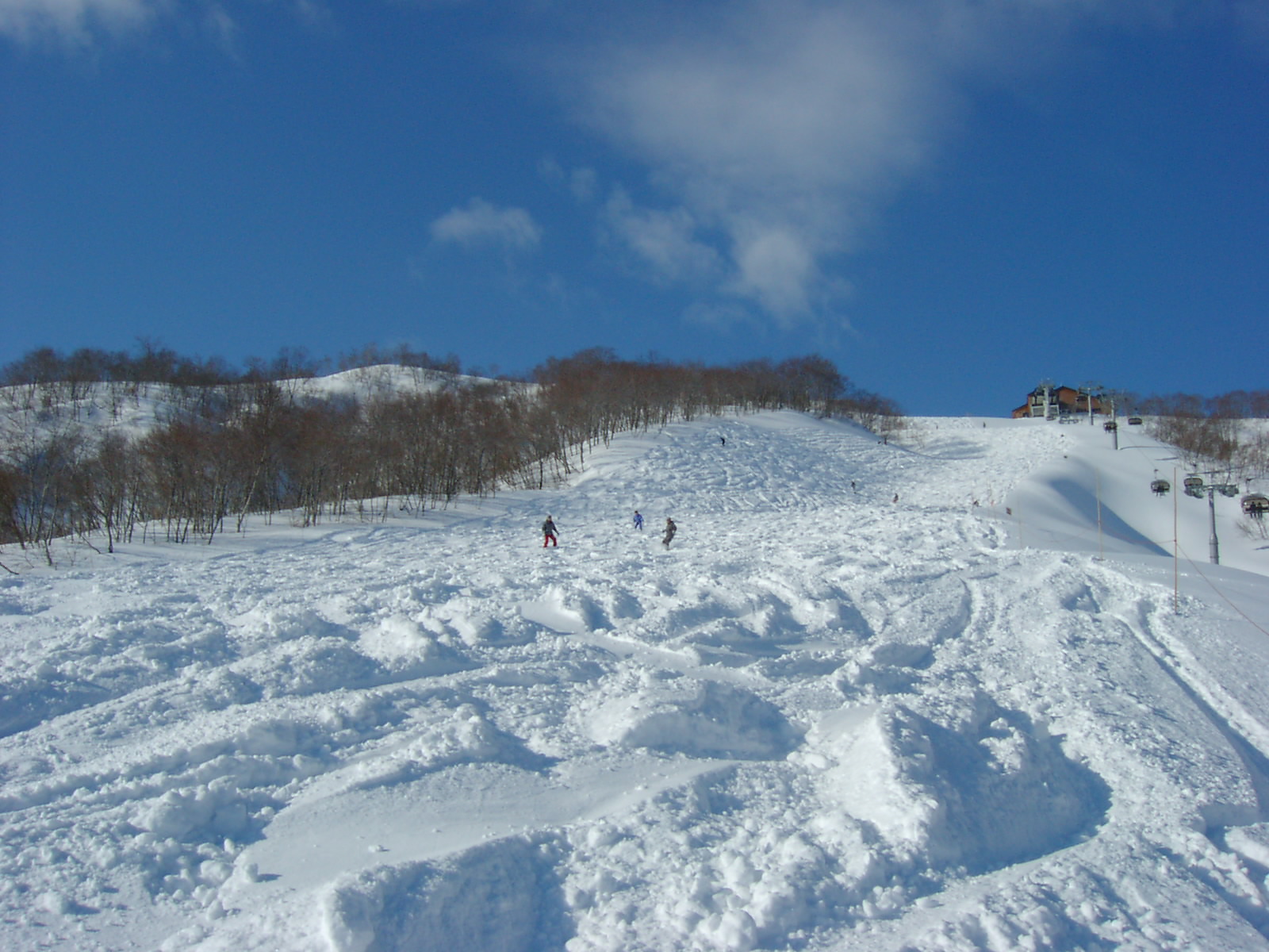 エキサイト、船石オープン