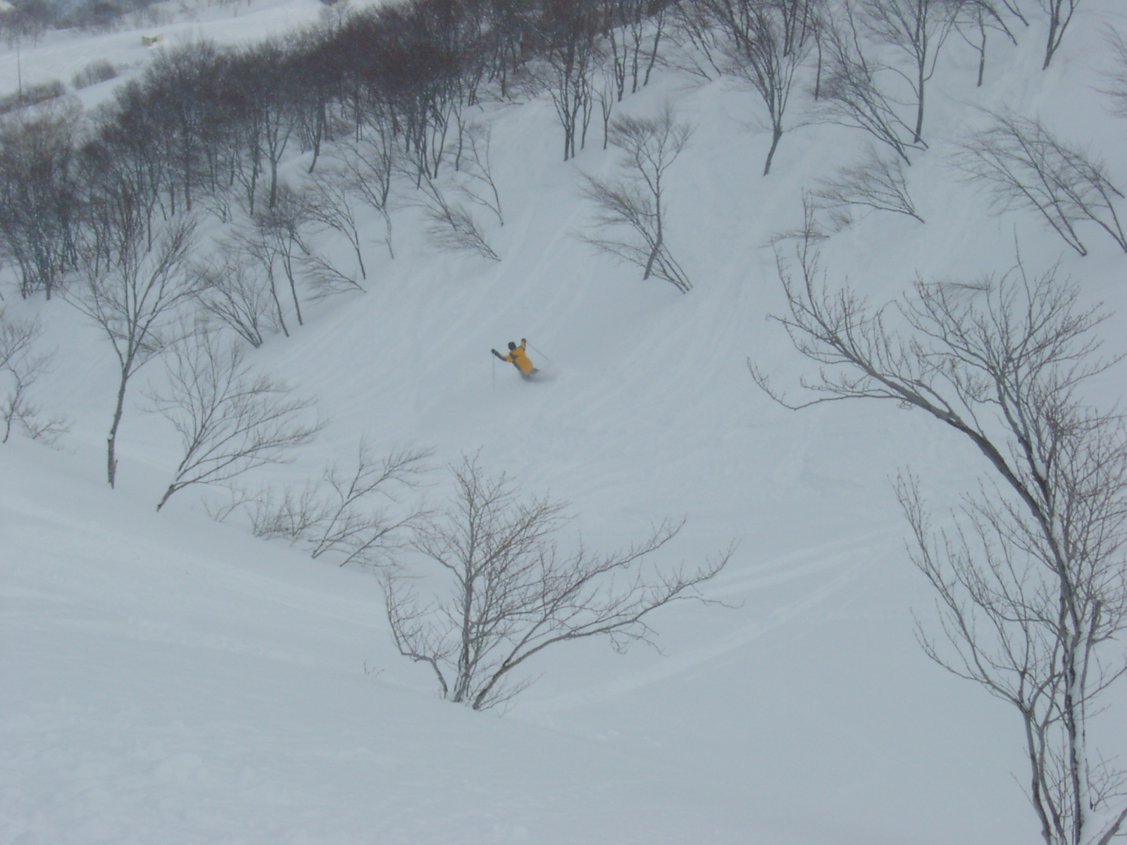 ちょとだけハイクアップしましょうよ