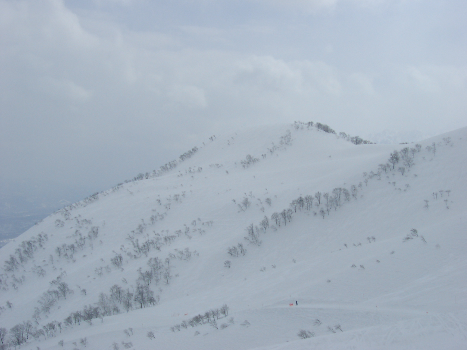 黄砂がやって来た
