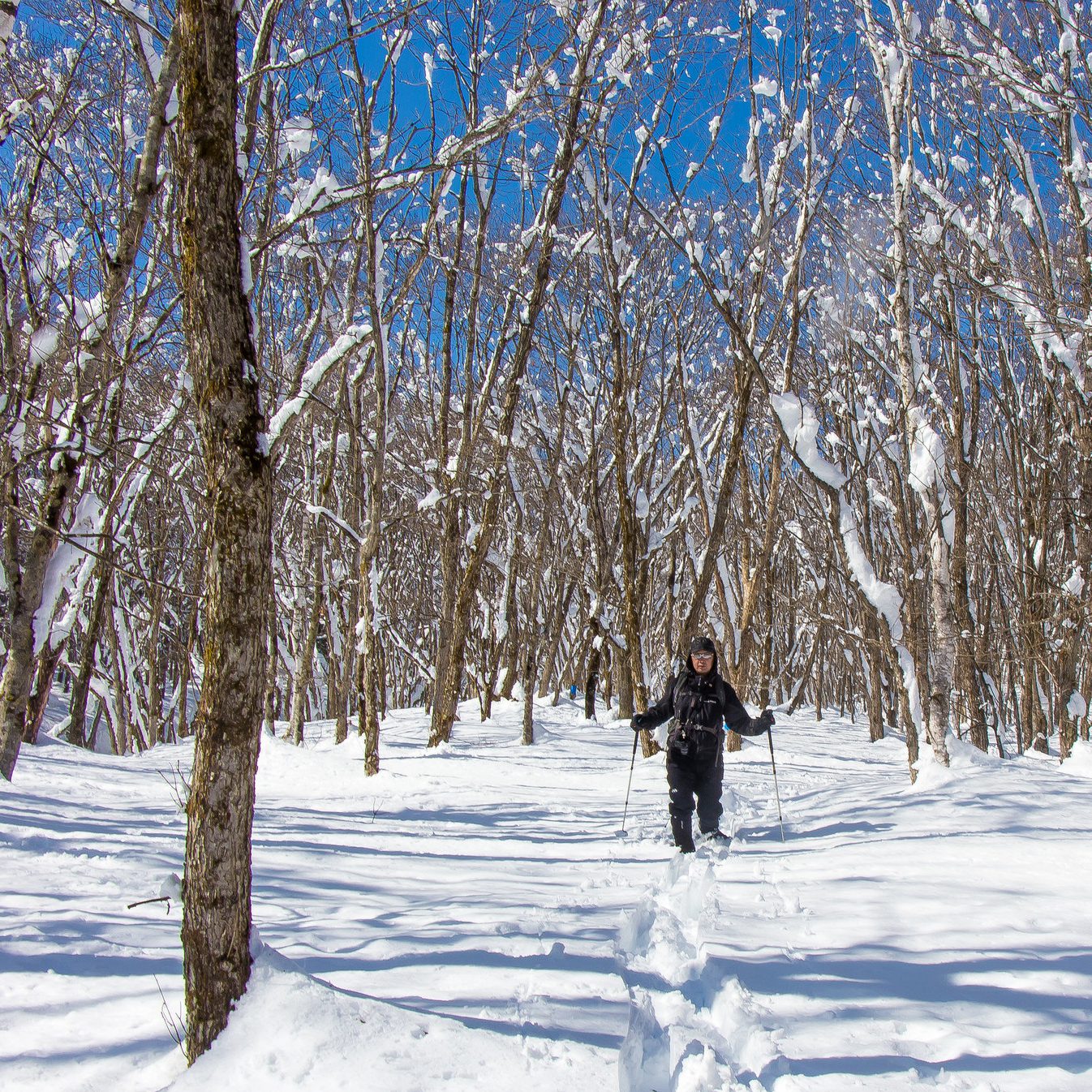 雪原散歩日和