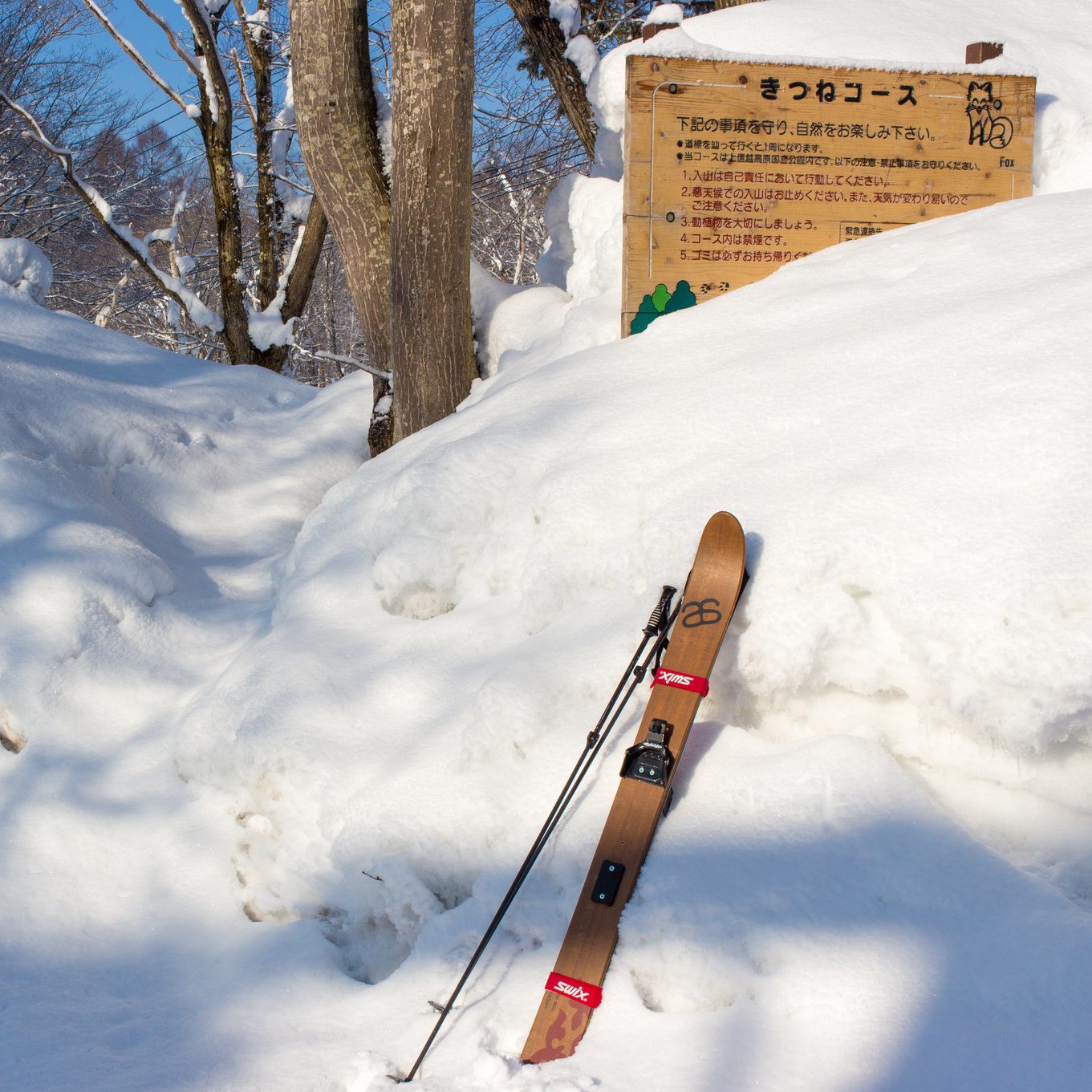 カリンカリンの朝は雪上散歩