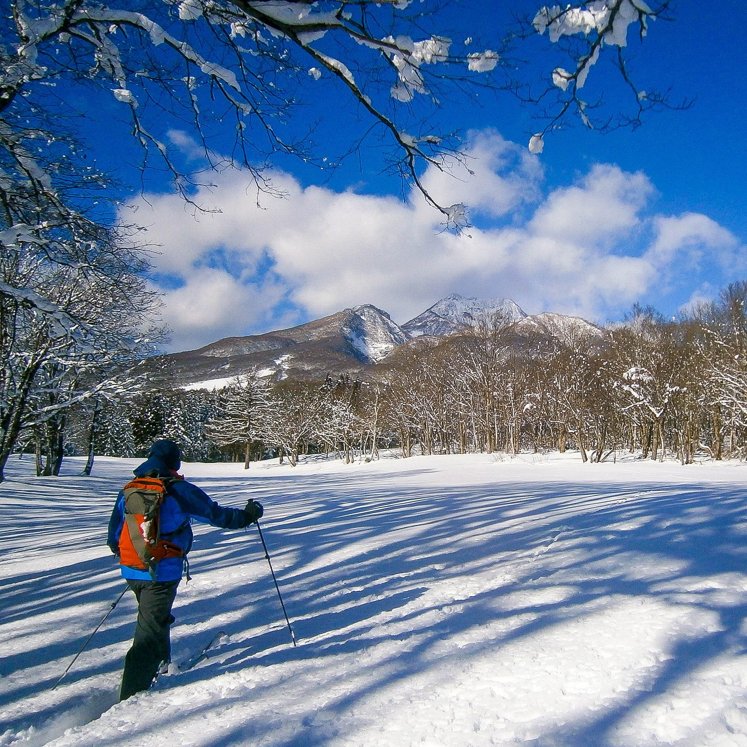 雪原歩き新ルート開拓