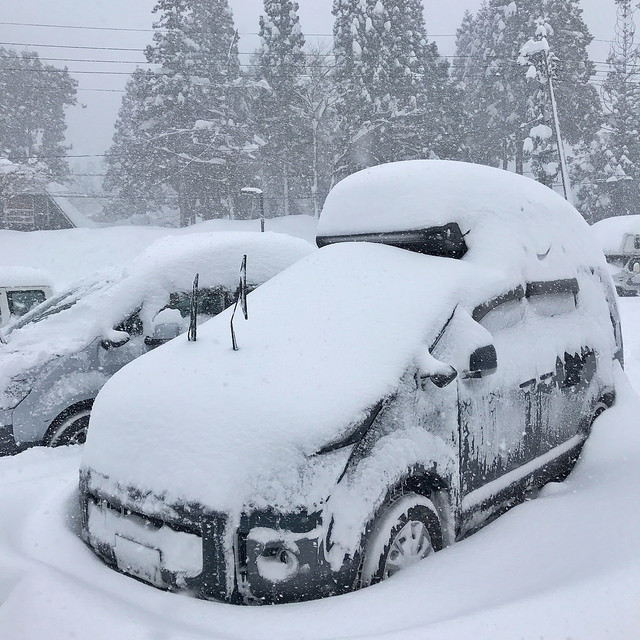 車はモフモフして欲しくないんだけど。。。