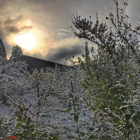 雪降った！@長野