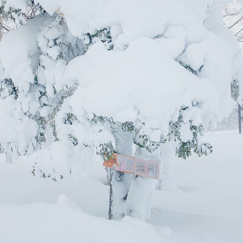 秋田旅 2017-2018シーズン　２日目