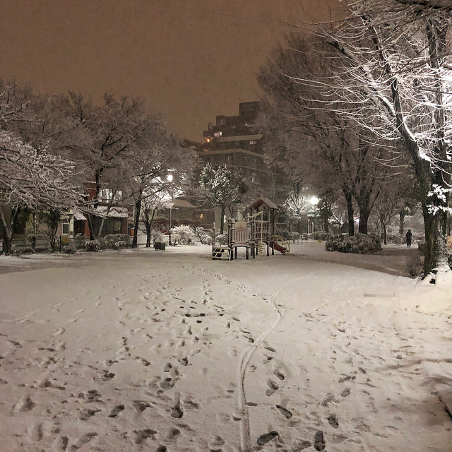 東京雪景色