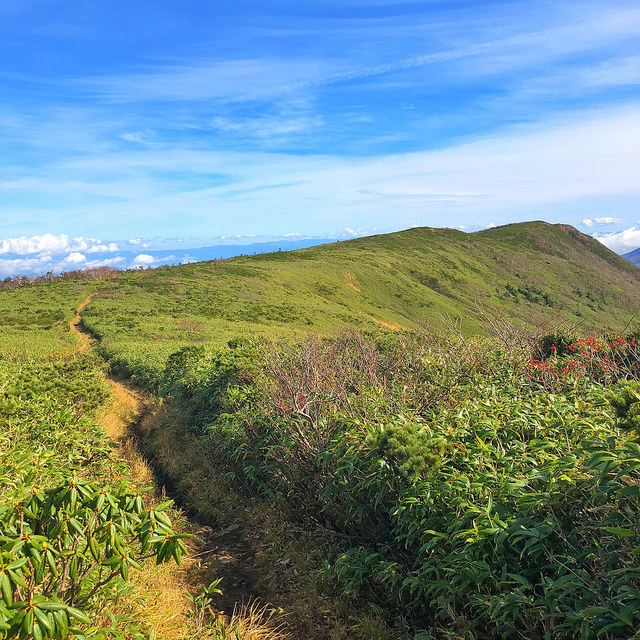 大深岳なう。