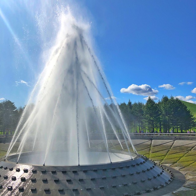 モレエ沼公園