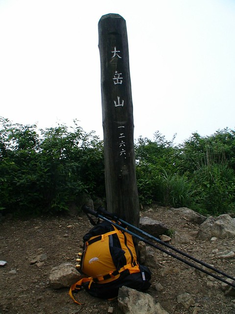 大岳山 登山 大岳山 登山