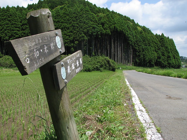 首都圏自然歩道 千葉県N005 埴輪と遊ぶみち