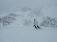 今回は何点でしょう？